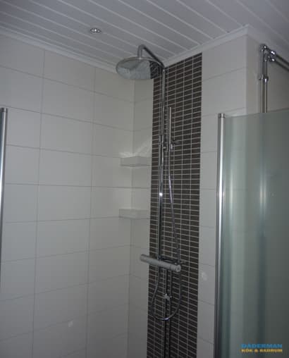 Skandinaviskt badrum med snedtak