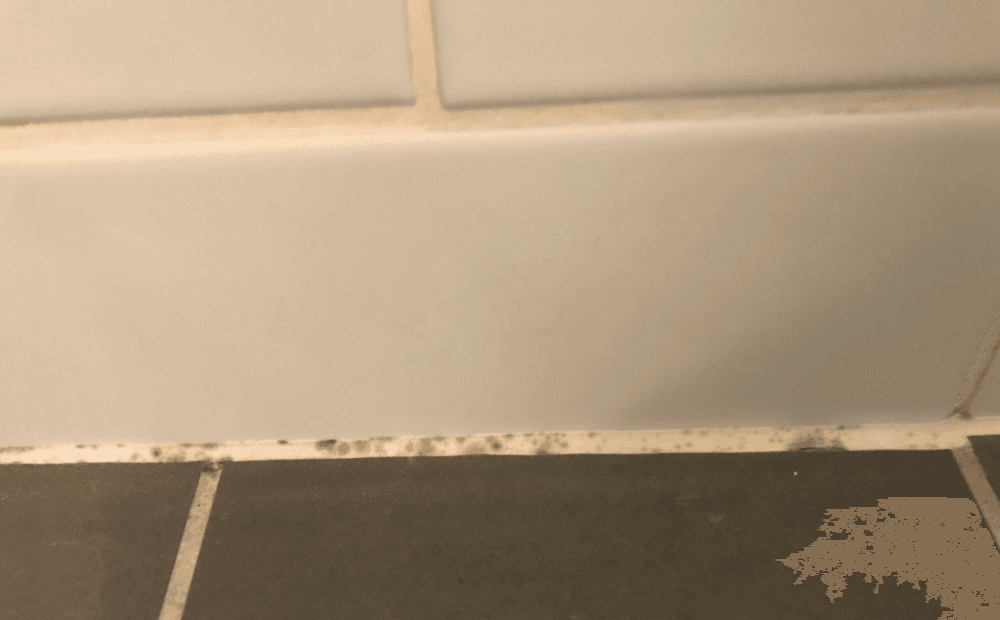 En bild på silikonfog